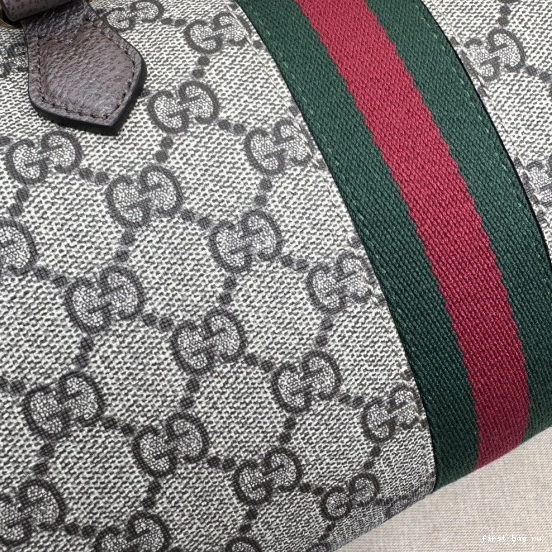 Firstbag ru SMALL HANDLE GUCCI GG OPHIDIA BAG TOP 0726